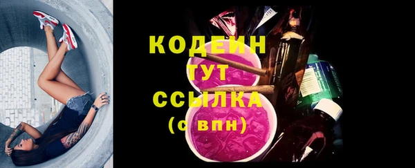 дживик Переславль-Залесский