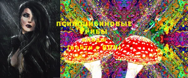 дживик Переславль-Залесский