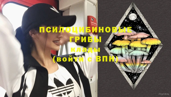 дживик Переславль-Залесский