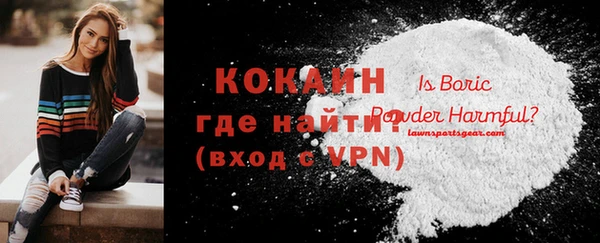 дживик Переславль-Залесский