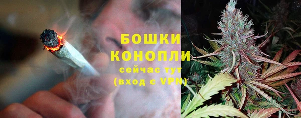 дживик Переславль-Залесский