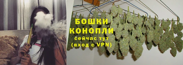 дживик Переславль-Залесский