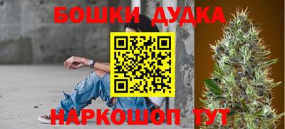 PSILOCYBIN Абакан