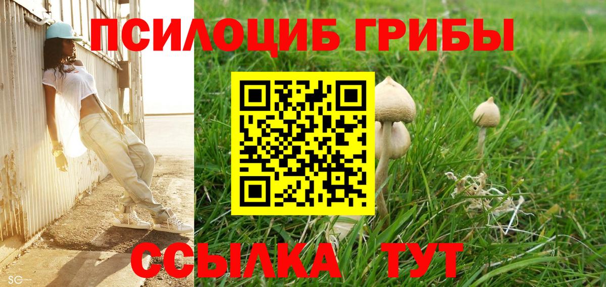 Псилоцибиновые грибы мицелий Кореновск